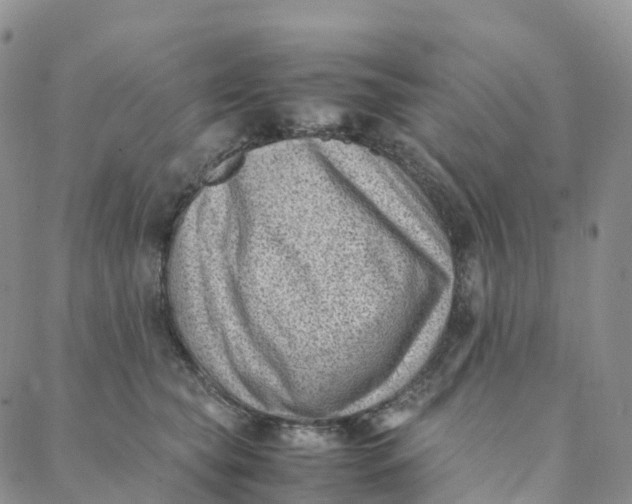 X0000088360565200706121058