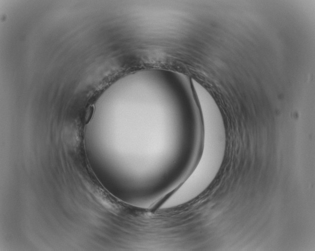 X0000088360566200706121058