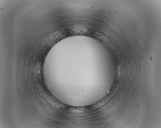 X0000088360567200706121058