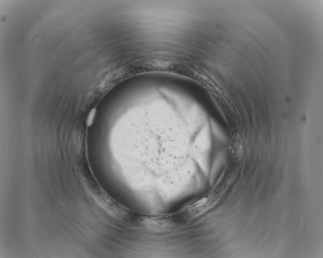 X0000088360568200706121058