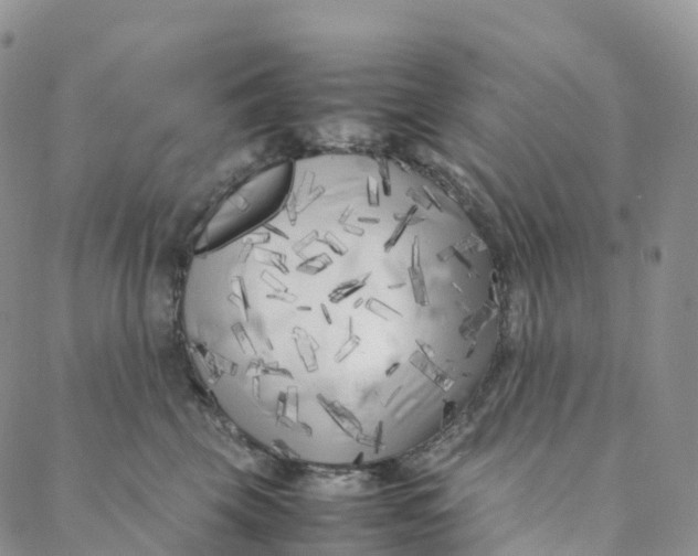 X0000088360569200706121058