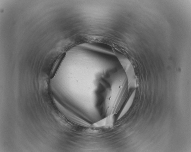 X0000088360570200706121058