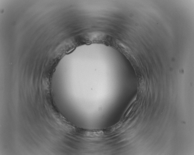 X0000088360571200706121058