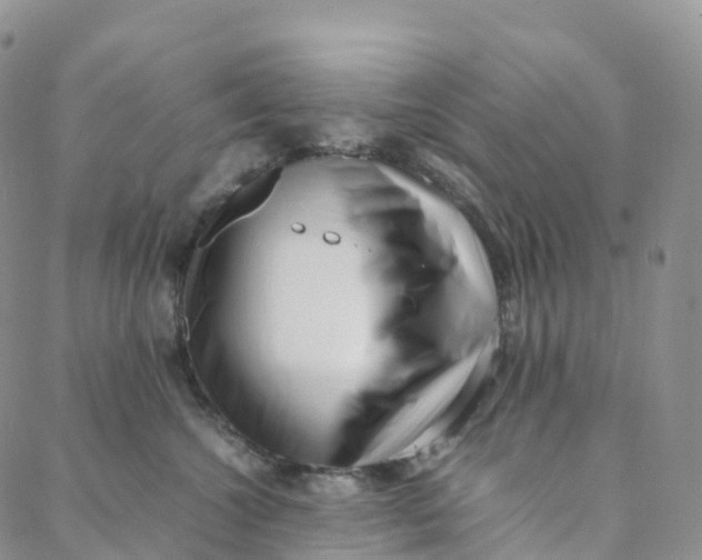 X0000088360572200706121058