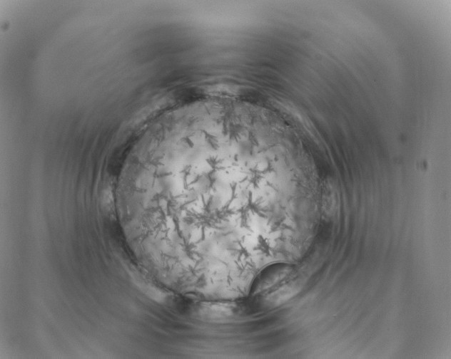 X0000088360573200706121058