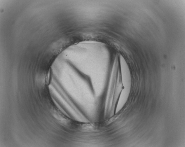 X0000088360574200706121058