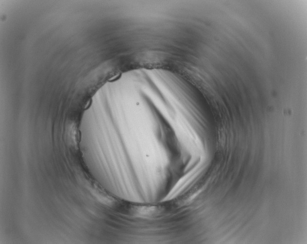 X0000088360575200706121058