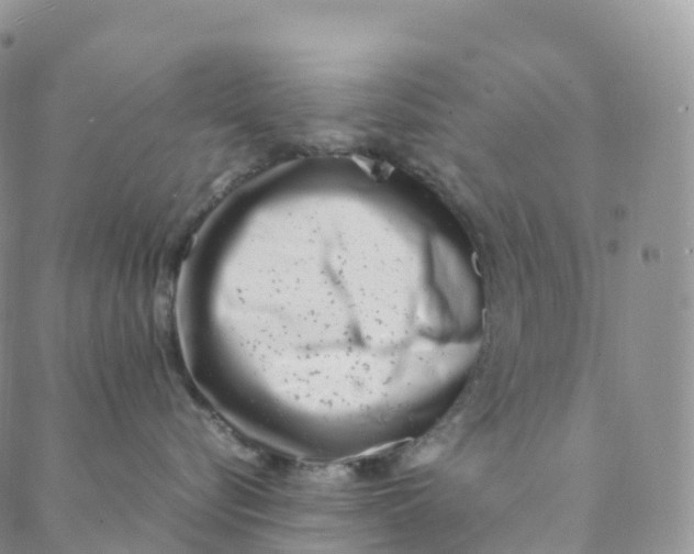 X0000088360576200706121058