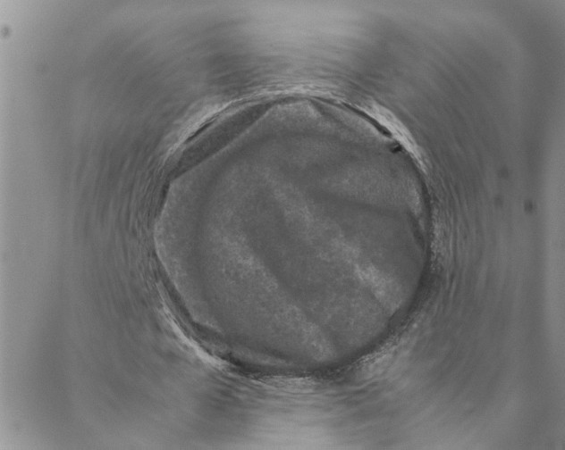 X0000088360577200706121057