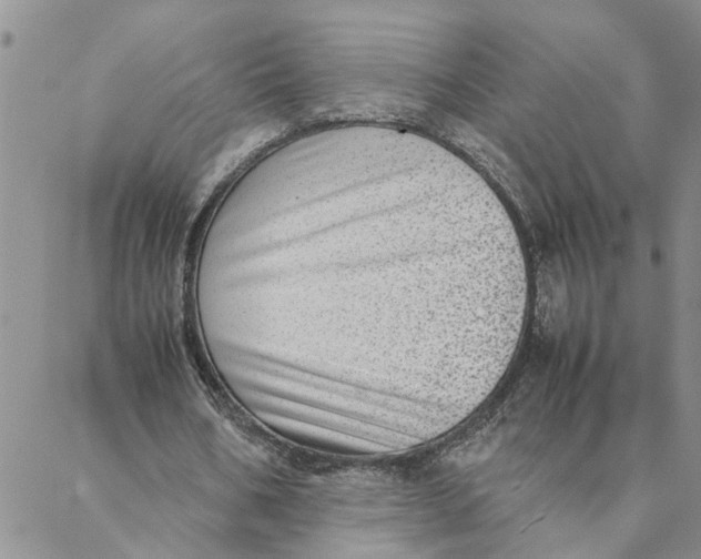 X0000088360578200706121057