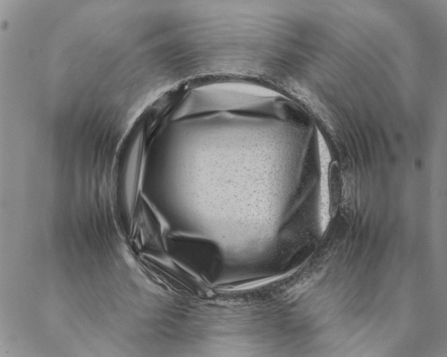 X0000088360580200706121057