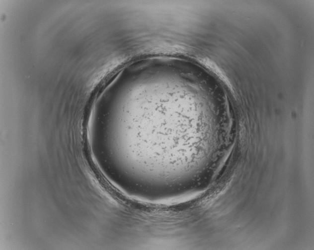 X0000088360581200706121057