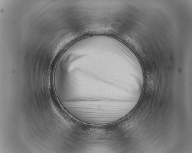 X0000088360582200706121057