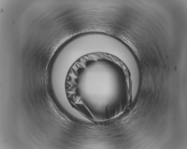 X0000088360584200706121057