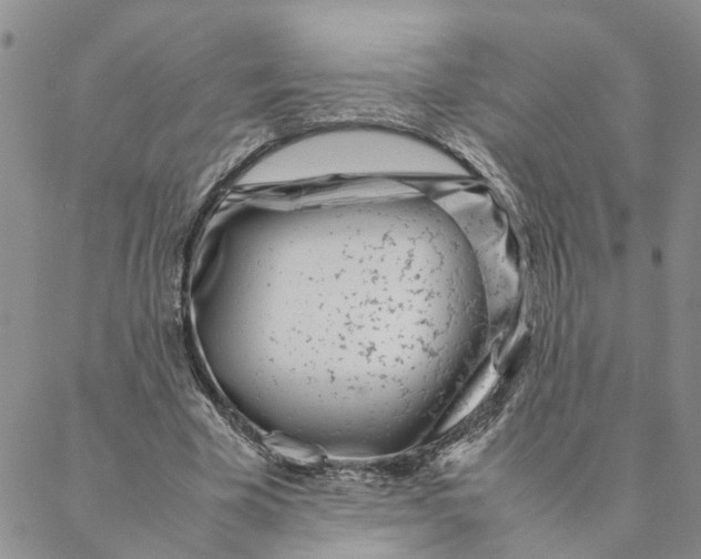 X0000088360585200706121057