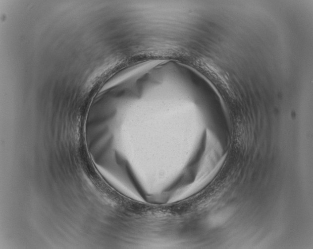 X0000088360586200706121057