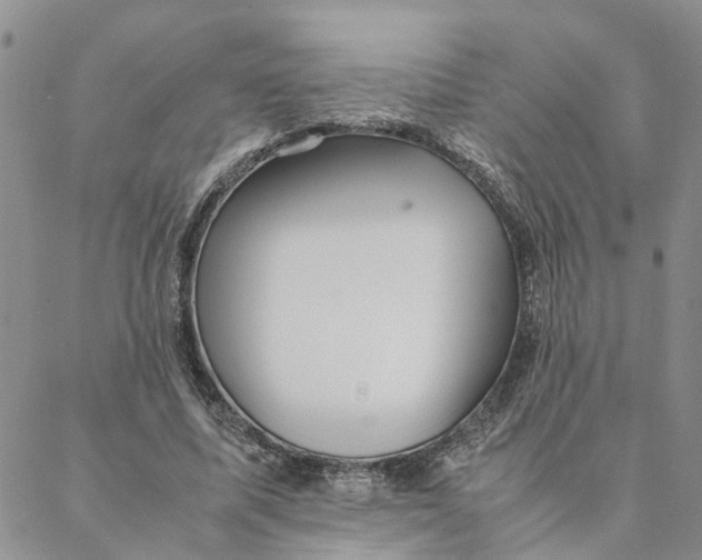 X0000088360587200706121057