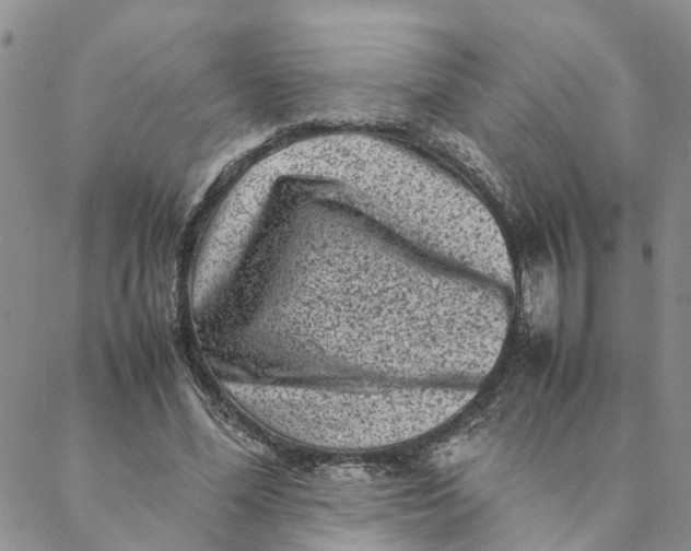 X0000088360588200706121057