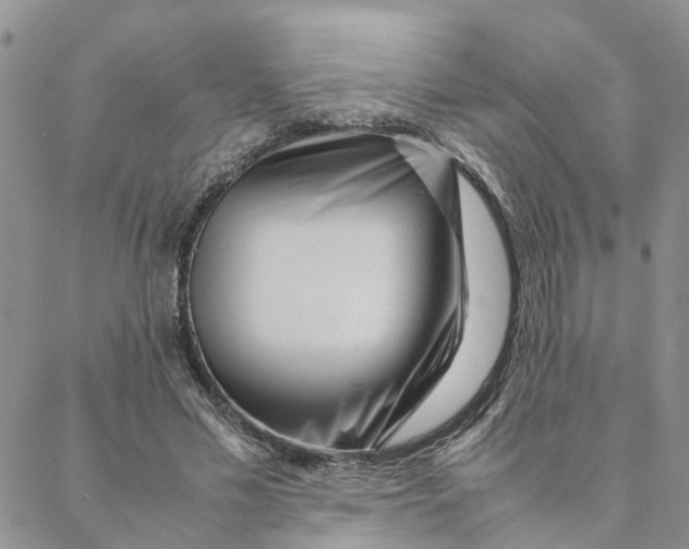 X0000088360589200706121057