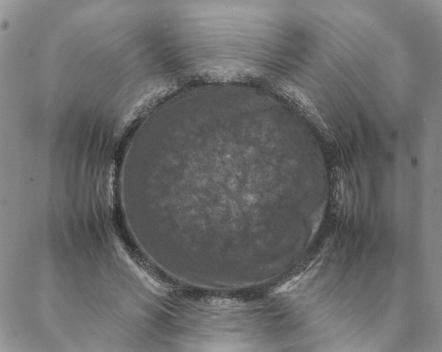 X0000088360590200706121057