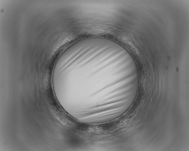 X0000088360591200706121057