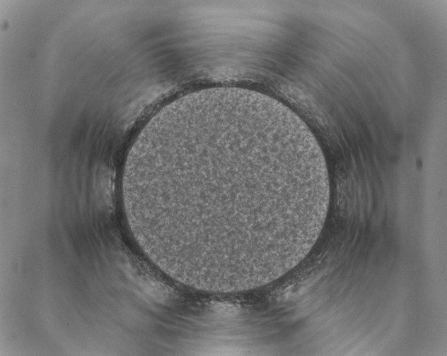 X0000088360592200706121057