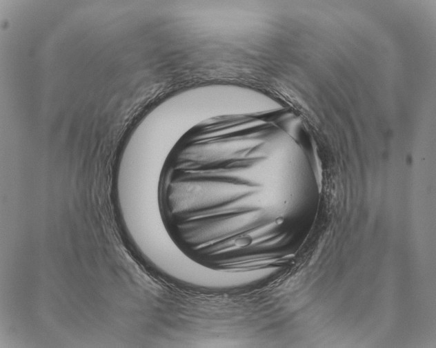 X0000088360593200706121057