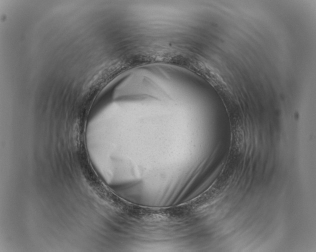 X0000088360594200706121057