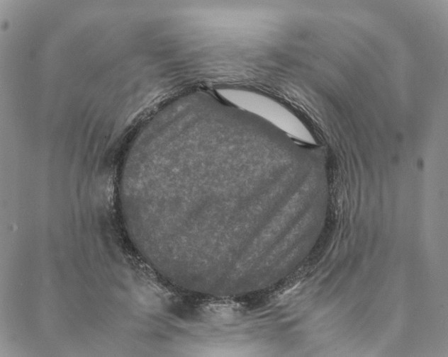 X0000088360595200706121057