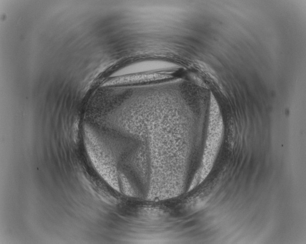 X0000088360596200706121057