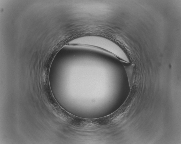 X0000088360597200706121057