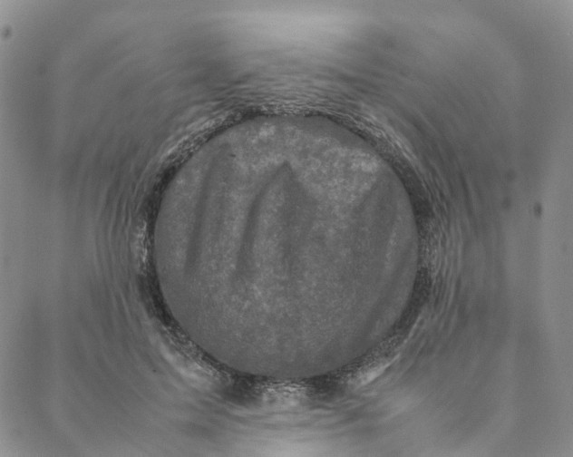 X0000088360599200706121057