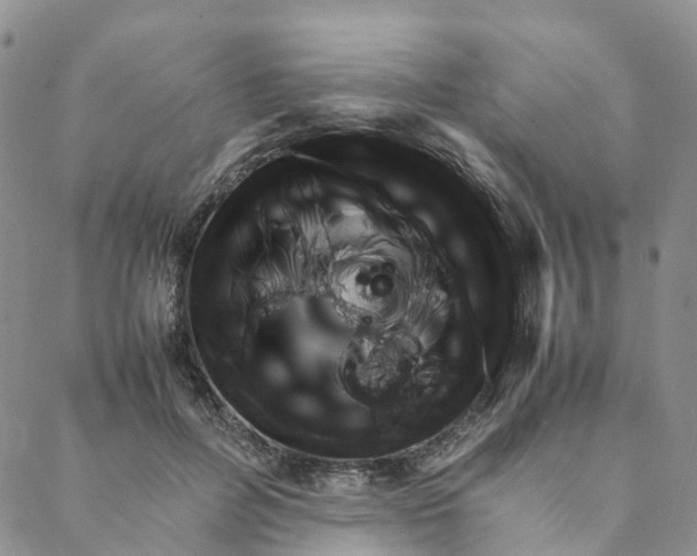 X0000088360600200706121057