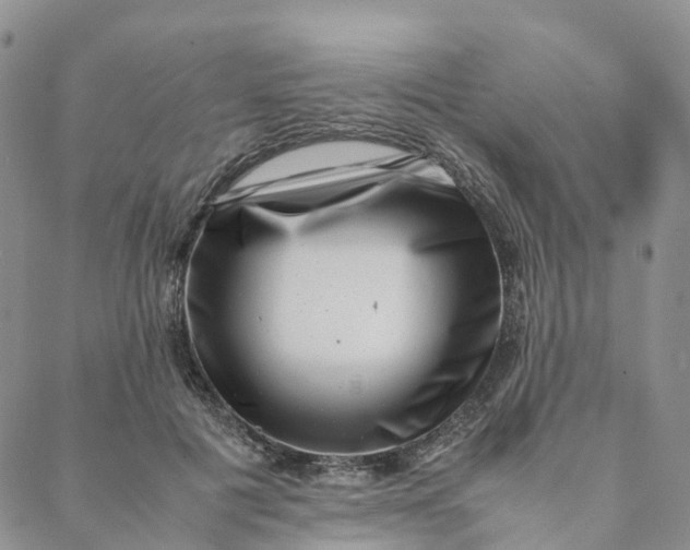 X0000088360601200706121057