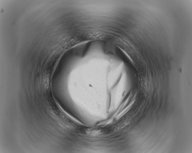 X0000088360602200706121057