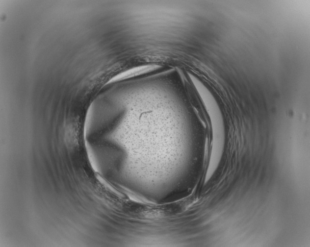 X0000088360604200706121057