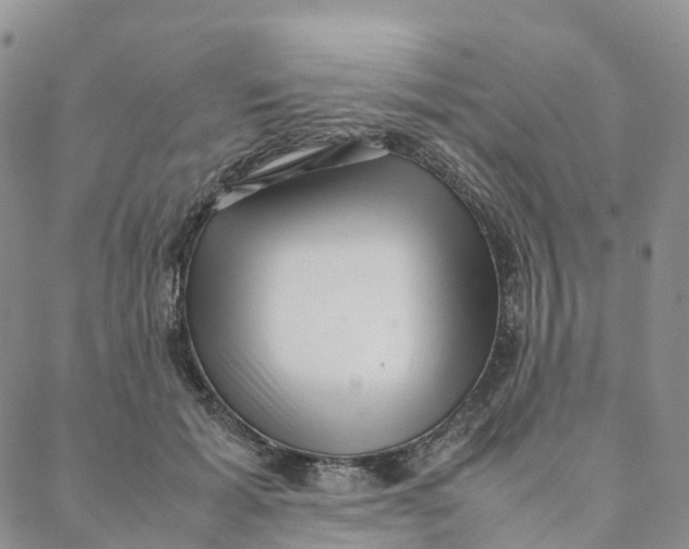 X0000088360605200706121057