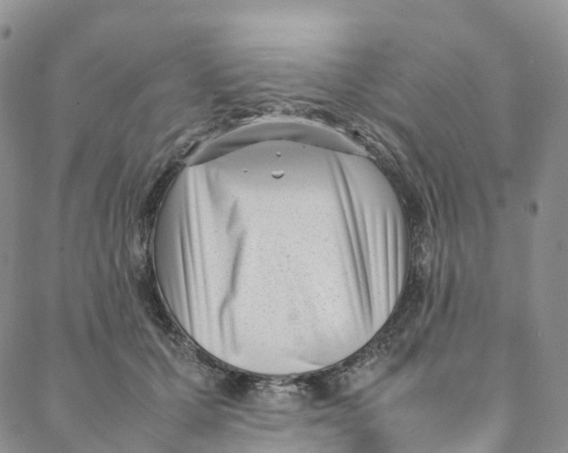 X0000088360607200706121057