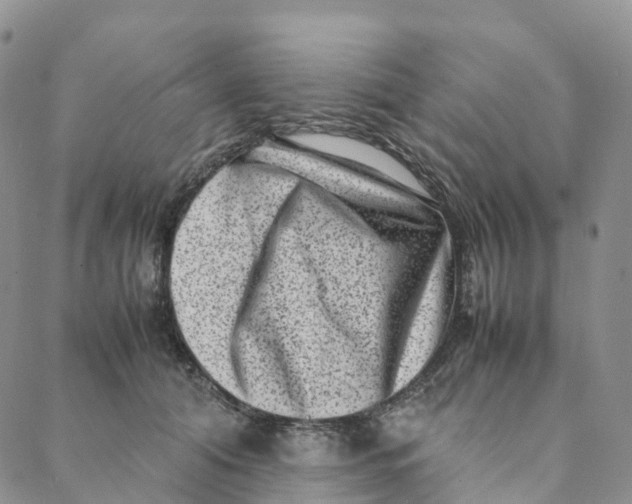 X0000088360608200706121057