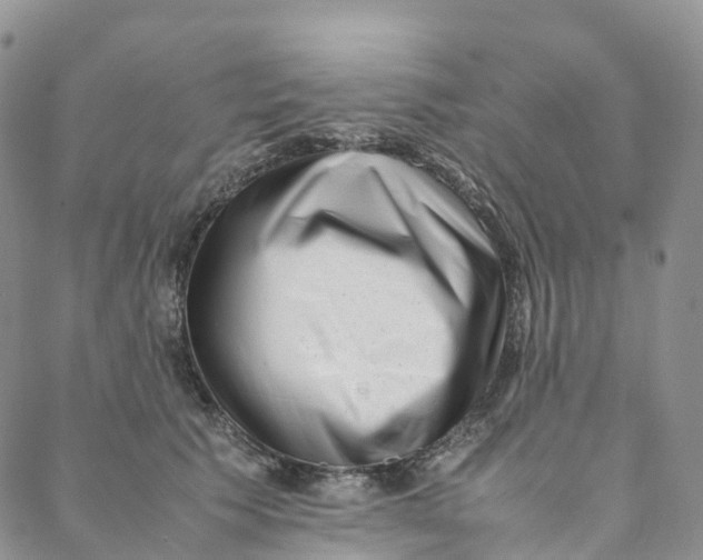 X0000088360609200706121057