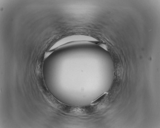 X0000088360611200706121057