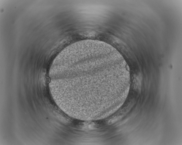 X0000088360612200706121057