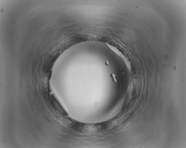 X0000088360613200706121057