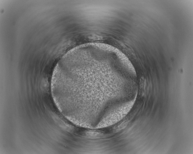 X0000088360614200706121057