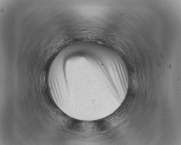 X0000088360615200706121057