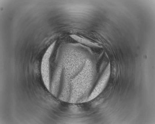 X0000088360616200706121057