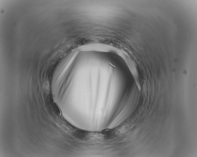 X0000088360617200706121057