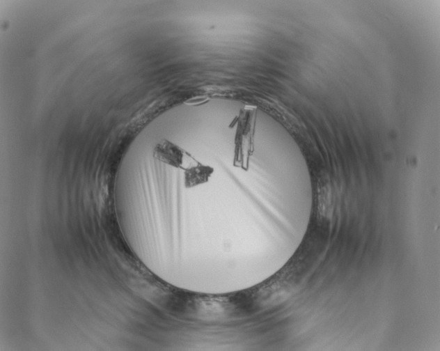 X0000088360618200706121057