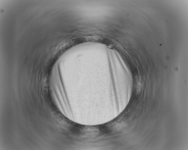 X0000088360619200706121057