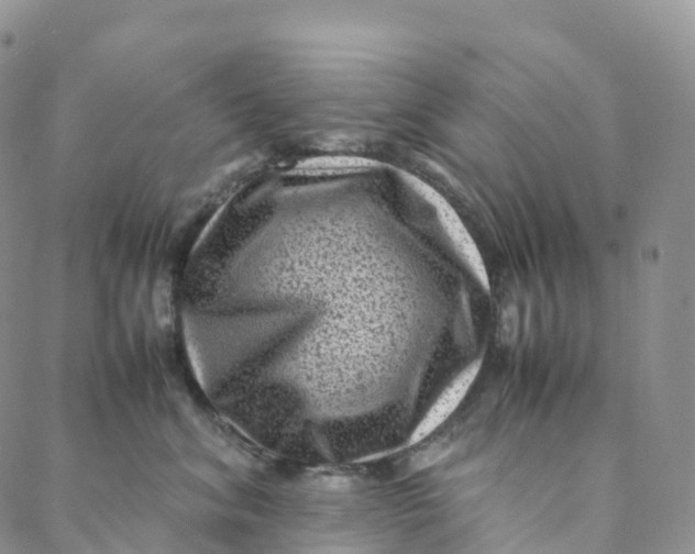 X0000088360620200706121057